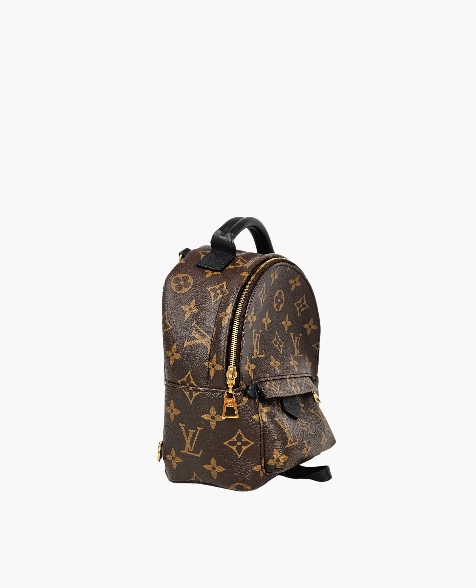 Louis Vuitton Palm Springs Monogram PM - Image 3