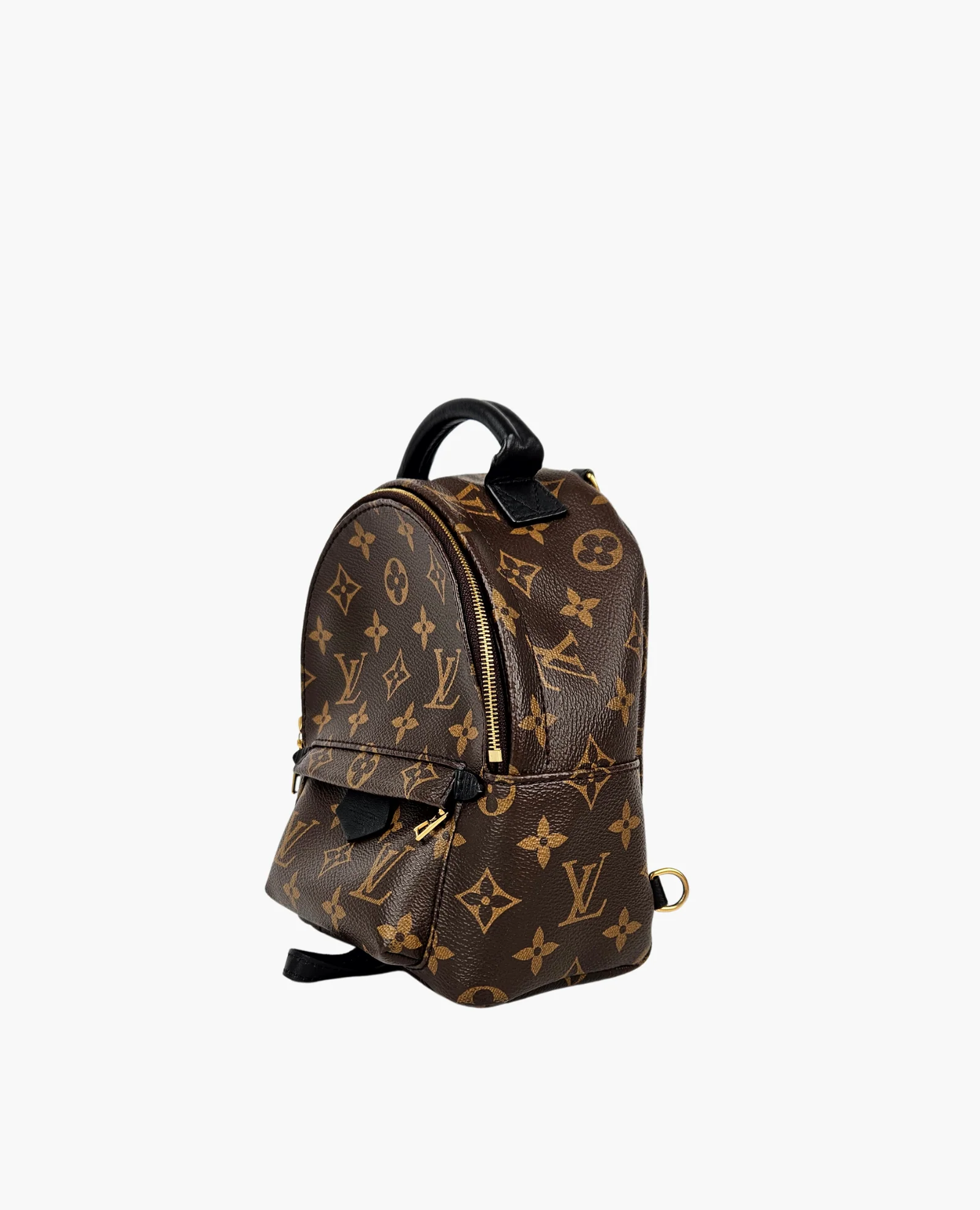 Louis Vuitton Palm Springs Monogram PM - Image 4