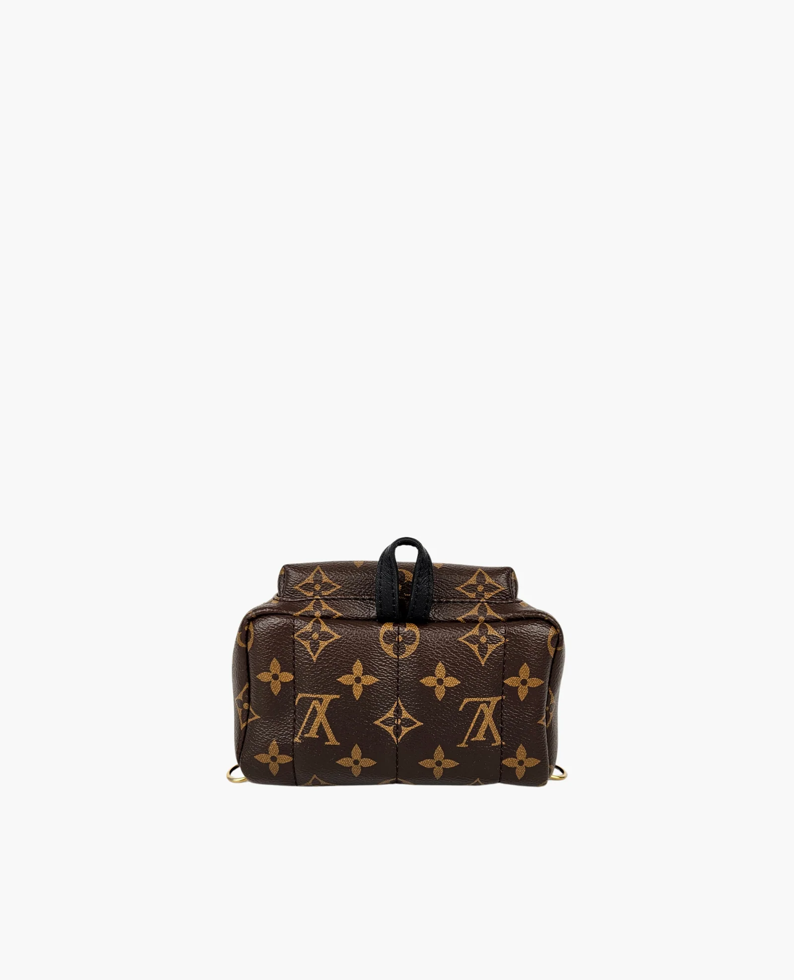 Louis Vuitton Palm Springs Monogram PM - Image 7