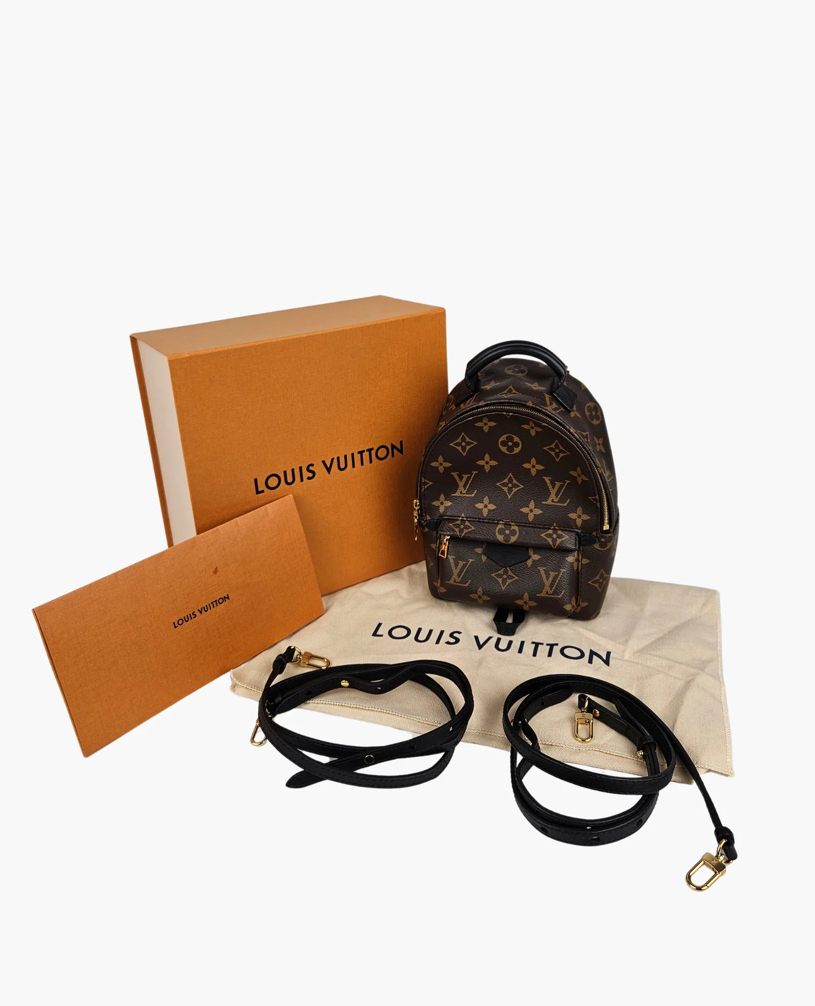 Louis Vuitton Palm Springs Monogram PM - Image 9